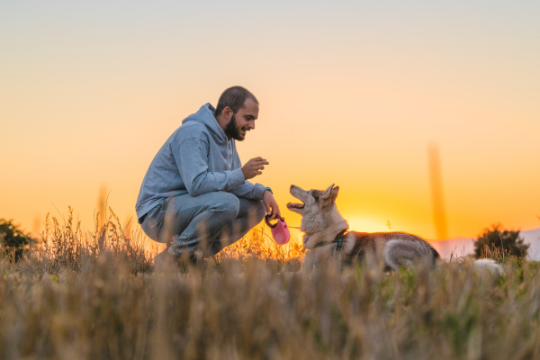 Dicas para Eliminar Comportamentos Indesejados no seu Cão