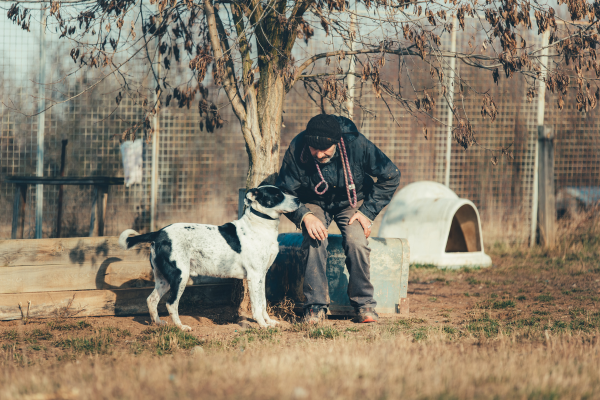 Exercícios em Dupla: Fortalecendo o Vínculo entre Tutor e Cão